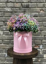Цветочная композиция из Гипсофила и Розы в шляпной коробке в Николаевске