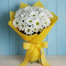 Букет цветов из:  Хризантемы в Николаевске
