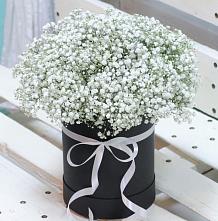 Цветочная композиция из Гипсофила в шляпной коробке #REPLACE_PRED# Николаевске