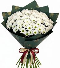 Букет цветов из:  Хризантемы #REPLACE_PRED# Николаевске