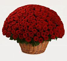 Премиум букет из: Розы в Николаевске