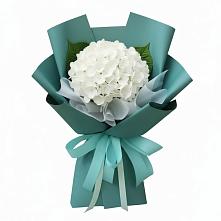 Букет цветов из:  Гортензия в Николаевске
